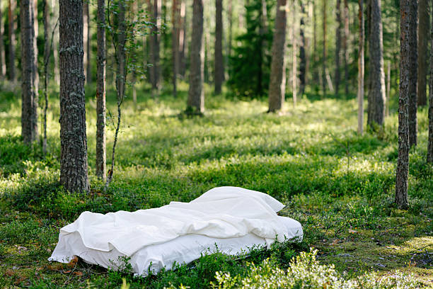Bed in the forest surrounded by trees