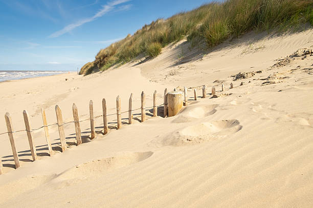 Idyllic view of beach with sand dunes landscape and marram grass with blue sky in background during summer season at Denmark