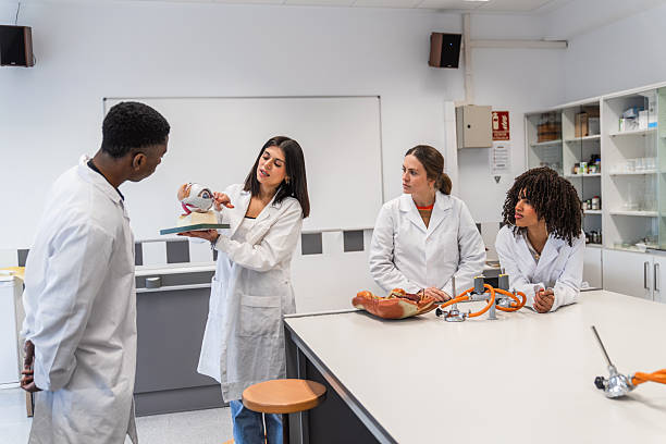 istock Medical students studying anatomy in a science laboratory 2212542594