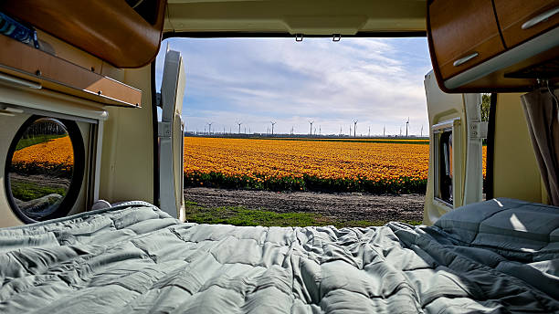 istock Stunning tulip fields of Flevoland visible from a cozy camper van on a spring day 2212546582