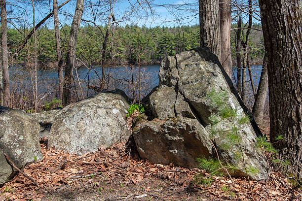 istock paradise pond  seen through the woods 2212549266
