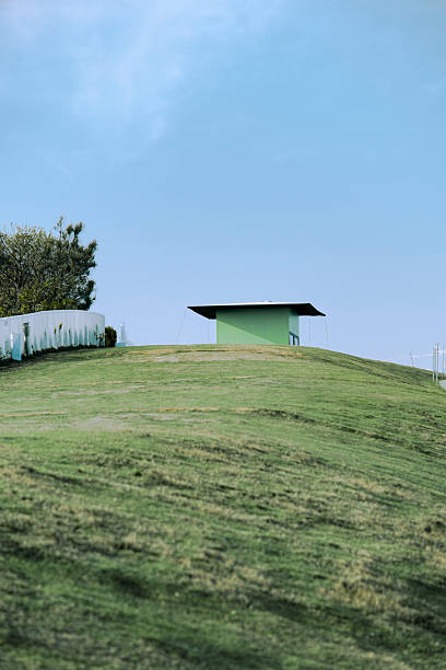 Rural house in green wheat field, peaceful countryside nature and farming scene.