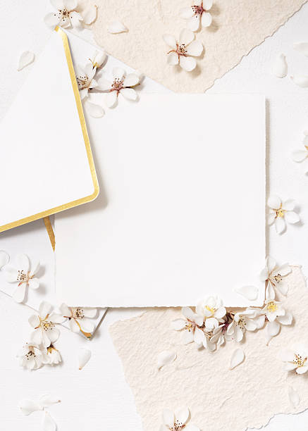 istock Blank card and envelope near white cherry flowers top view, spring wedding mockup 2212550204