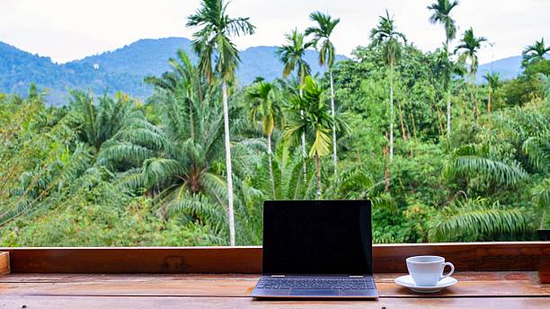 Stunning remote work setup amidst lush Thai nature and serene palm trees for ultimate productivity