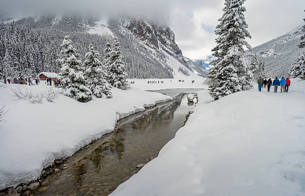 Idyllic winter scene of bright snowmelt river and snow covered pine trees