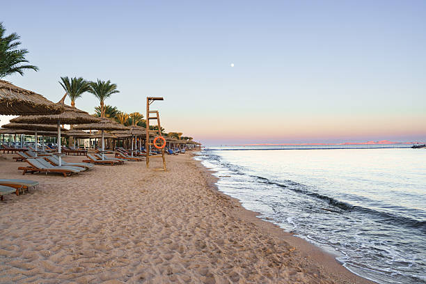 istock Beachfront view at sunrise with lounge chairs and palm trees in a tranquil coastal setting 2212556802