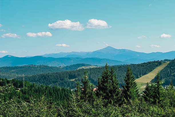 istock Mountain landscape under clear blue sky with trees and distant peaks in summer 2212558530