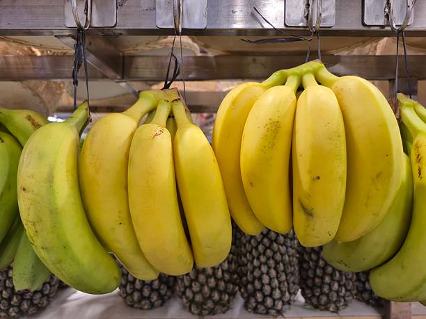Several bunches of bananas are hanging at an Asian farmer's stall, creating a vibrant display of fresh, ripe fruit. The bananas, varying in size and color, add to the lively atmosphere of the market, attracting customers with their tropical appeal.