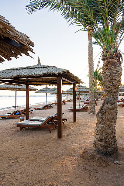 istock Peaceful beach setting with thatched umbrellas and lounge chairs at sunset 2212559653