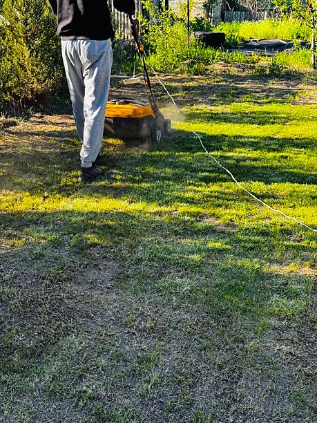 istock Lawn aeration or scarification, spring gardening work 2212561216