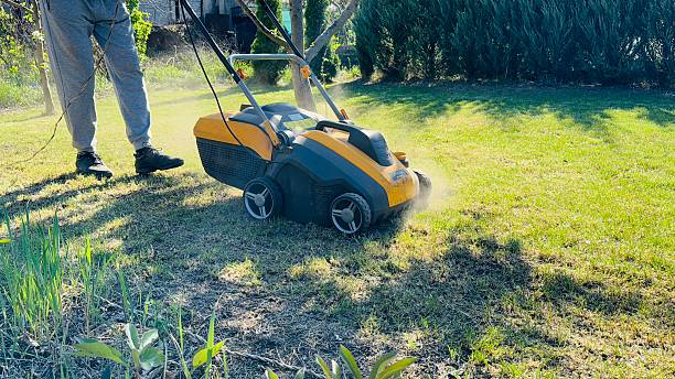 istock Lawn aeration or scarification, spring gardening work 2212561317