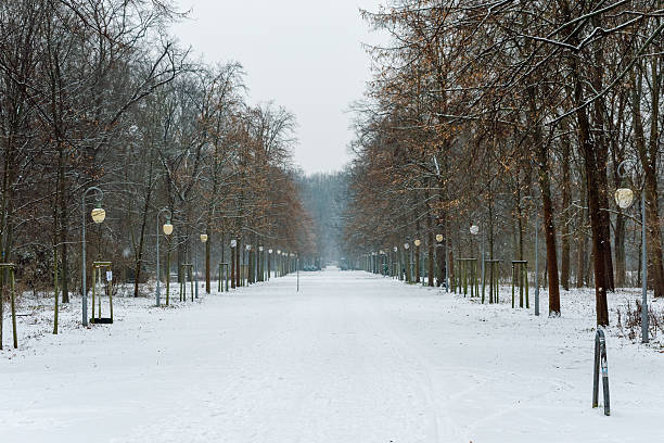 A lone bench sits gracefully in the center of a snow-covered park, surrounded by glistening white scenery. The park appears tranquil and serene, with no one in sight, showcasing the beauty of nature in winter.
