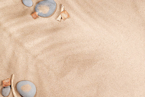 istock A tropical summer background featuring soft beach sand with delicate palm leaf shadows 2212566701