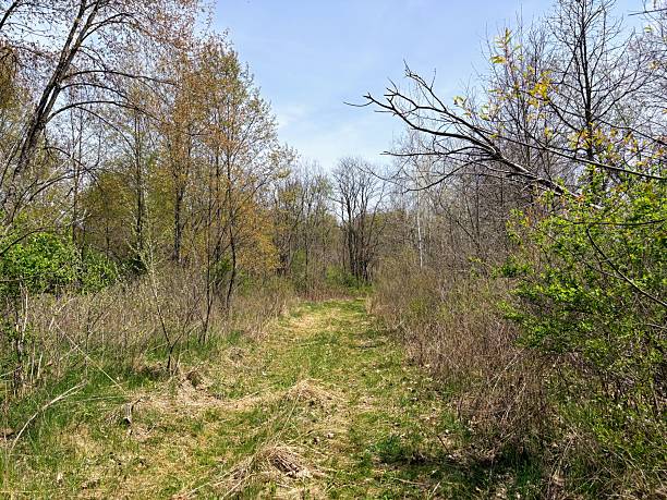 istock Historic Bridge Park in Emmett Township, Michigan 2212570355
