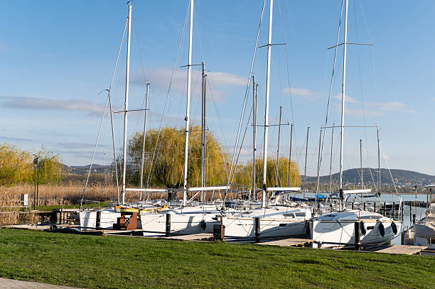 A row of white sailboats docked at a peaceful marina on a sunny spring day. Fresh green grass and budding willow trees frame the scene, with calm waters and gentle hills in the background under a clear blue sky.