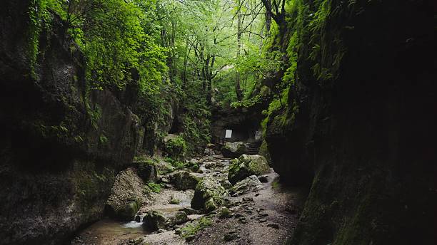 istock A crevice between cliffs with a fast mountain stream in the lowland 2212572784