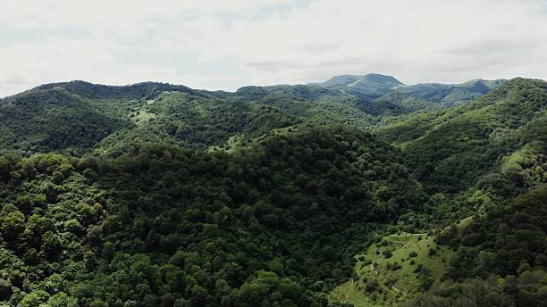 istock shooting from a quadcopter, a view of a hilly valley overgrown with forest 2212574146