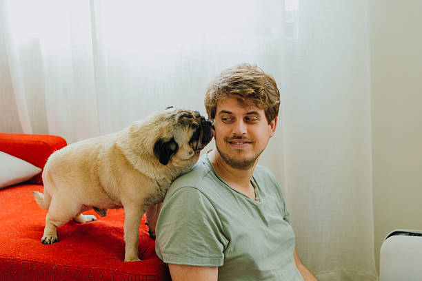 istock Smiling Man Relaxing at Home Enjoying Time With His Dog 2212577719