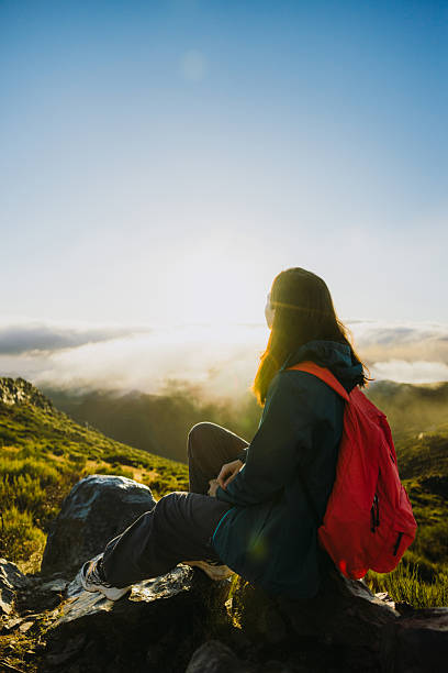 istock On top of Madeira 2212581270