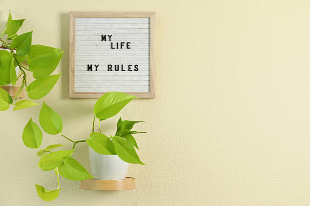 Letter board with phrase My Life My Rules and plant on beige wall. Space for text