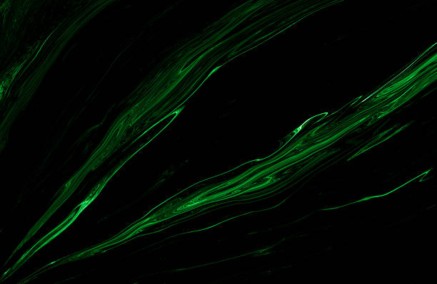 istock Background black and green dark are light with the gradient is the Surface with templates metal texture soft lines tech gradient abstract diagonal background silver black sleek with gray. 2212590355
