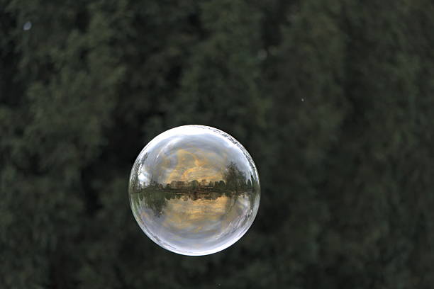 flying soap bubble with reflections of forrest (vers. 1)
