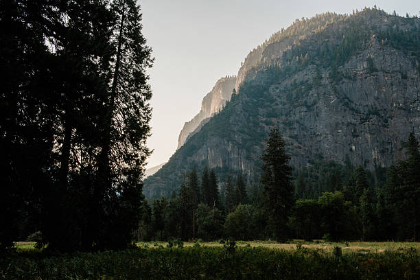 A wide-angle view of Yosemite National Park during sunrise, featuring forested meadows, towering granite cliffs, and misty light filtering through the mountains. This tranquil landscape captures the beauty of nature in the American West, with tall pine trees and soft golden light providing a peaceful, untouched atmosphere.