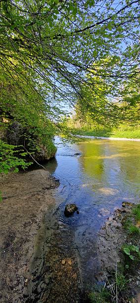 istock Near Traunstein river Traun - Bavaria 2212601380