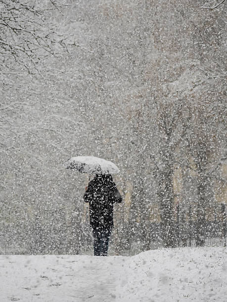 istock man in a heavy snowstorm under an umbrella 2212601733