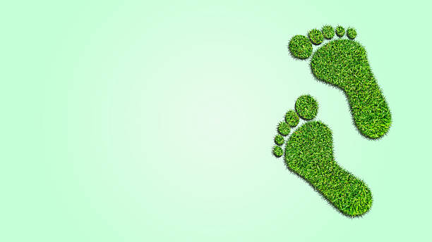 istock Ecological footprint concept illustration - grass patch footprint 2212603758