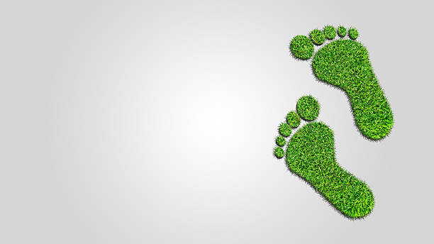 istock Ecological footprint concept illustration - grass patch footprint 2212603762