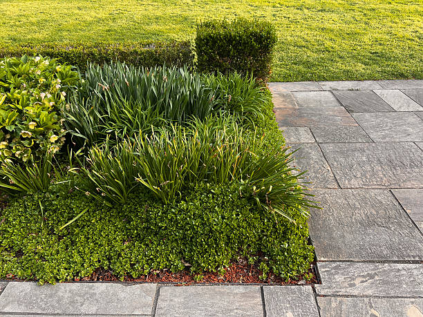 istock Garden Bed in Public Park 2212607097