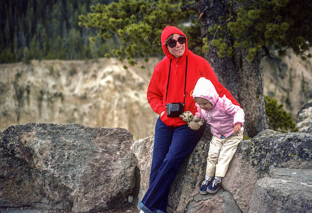 istock Yellowstone NP - At Grand Canyon Overlook - 1981 2212607153