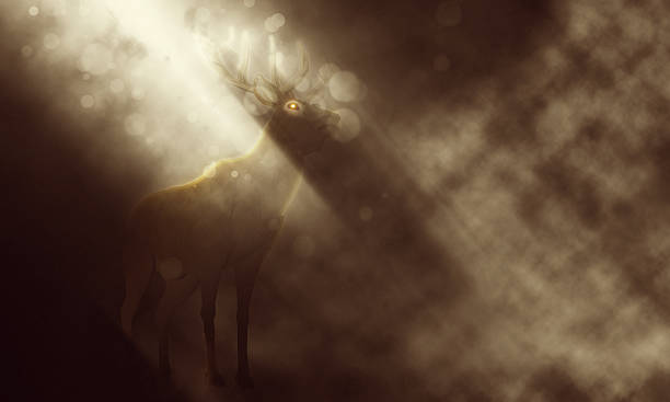 istock Majestic deer emerging from the misty forest depths 2212611885