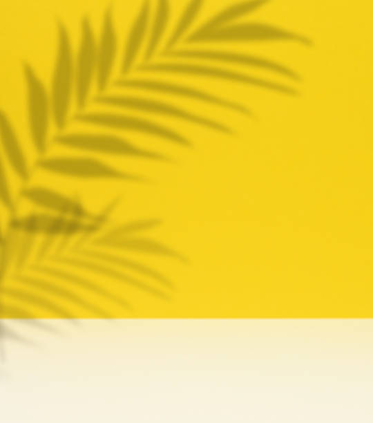 istock Soft, blurred shadows of palm leaves are cast across a solid light yellow background 2212616405