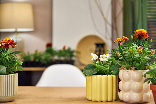 modern creative clay pots with flowers stand on the table in the interior