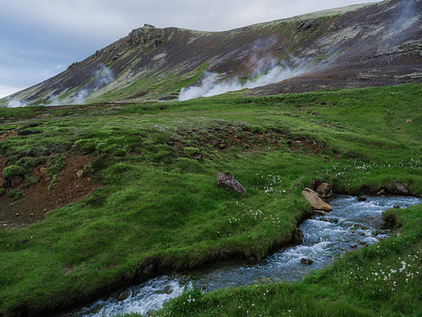 Reykjadalur Hot Spring Thermal River surrounded by lush green grassland in Iceland