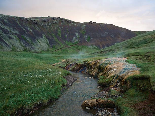 Reykjadalur Hot Spring Thermal River surrounded by lush green grassland in Iceland