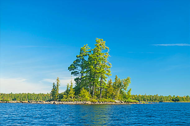 istock Giant White Pines Growing on a Tiny Island 2212622268