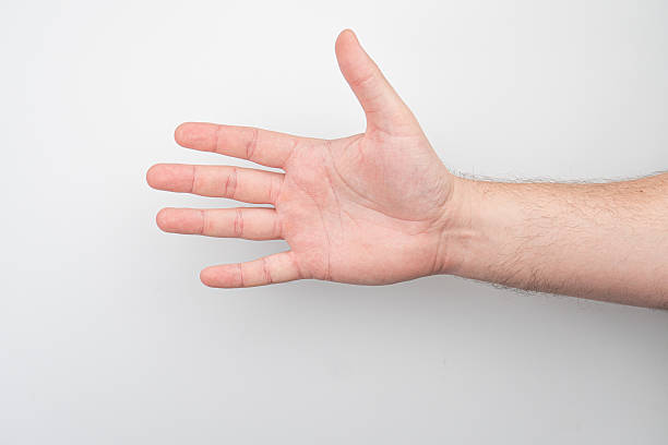 istock Close-up of a horizontal arm extension, hand facing upwards, slightly highlighted tendons and muscles, blurred background, neutral tones 2212622701