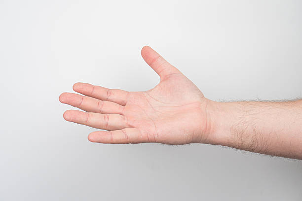 istock Close-up of a light-skinned, well-defined arm with visible muscle contours, open hand facing upward, slight shadow under the arm, bright lighting, neutral background possibly the floor 2212622878