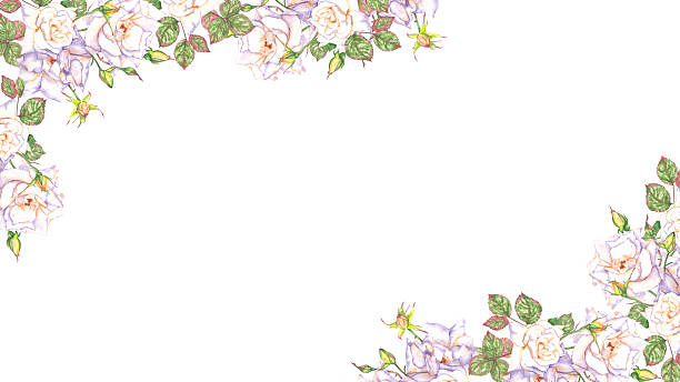 istock Watercolor illustration frame of white roses. 2212629686