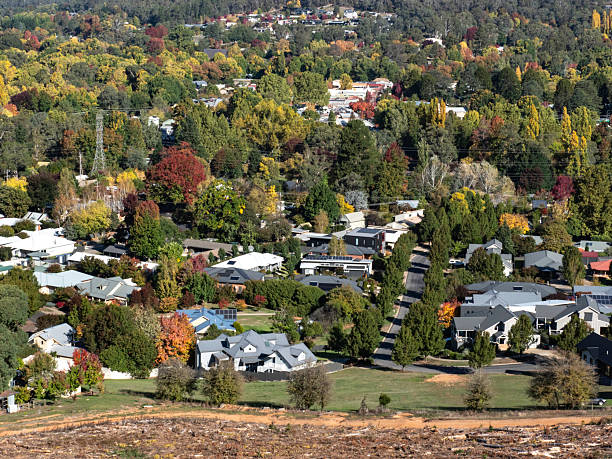 istock High angle view of houses and trees 2212645239