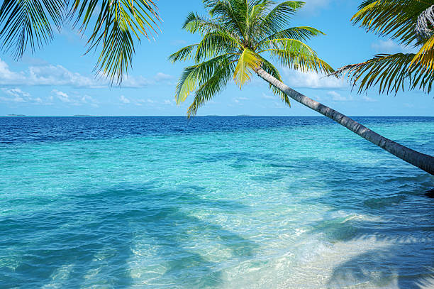 istock Tropical paradise beach scene for background or wallpaper 2212646144