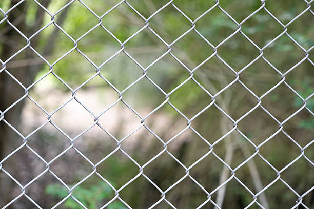 a close-up of a chicken wire fence, its metallic mesh standing out against the soft, blurred backdrop of a lush green forest