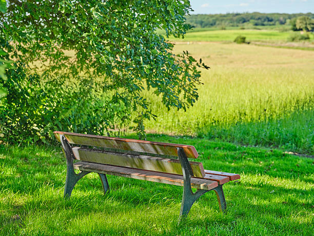 A wooden bench is placed under the shade of a tree, overlooking a lush green field. This peaceful rural scene is captured in Denmark, highlighting the beauty of nature and serene landscapes.