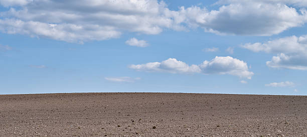 A vast grassy field stretches under a cloudy sky, while patches of trees can be seen in the distance, showcasing the beautiful colors of autumn. The scene is calm and serene.