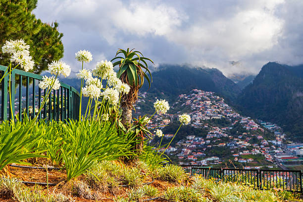 Panoramic view from Pico dos Barcelos viewpoint at Madeira island, Portugal