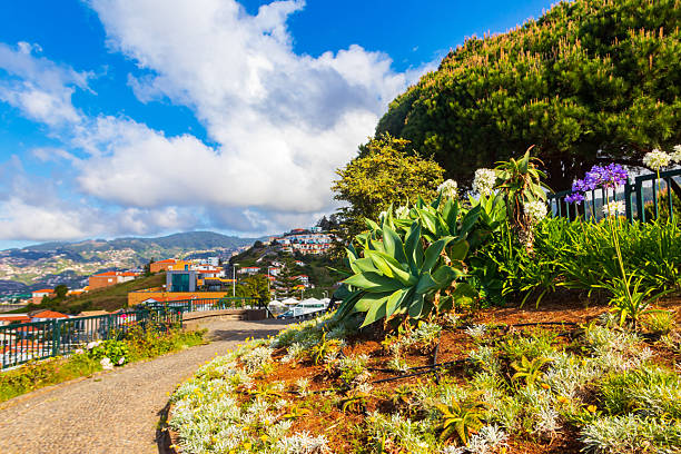 Pico dos Barcelos viewpoint at Madeira island, Portugal