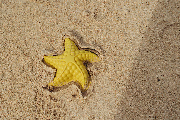 Surface level view of sandy Siesta Key beach in Sarasota, Florida